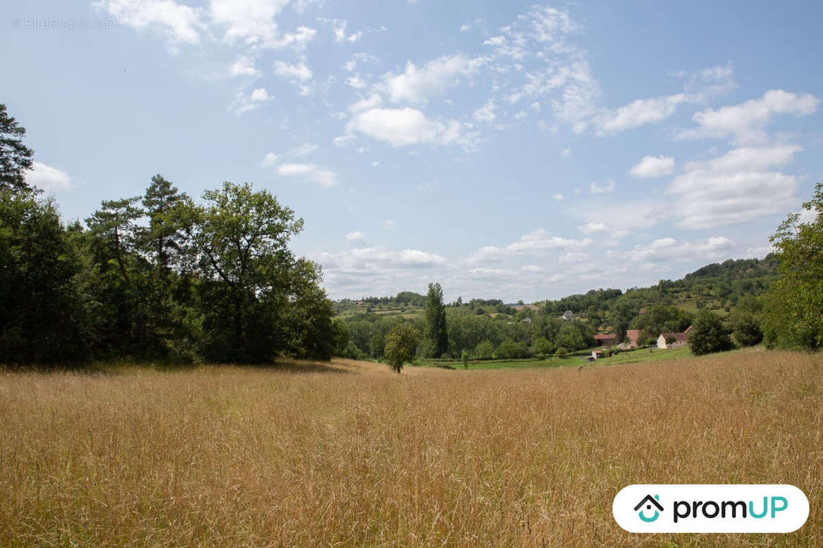 Terrain à MEYSSAC