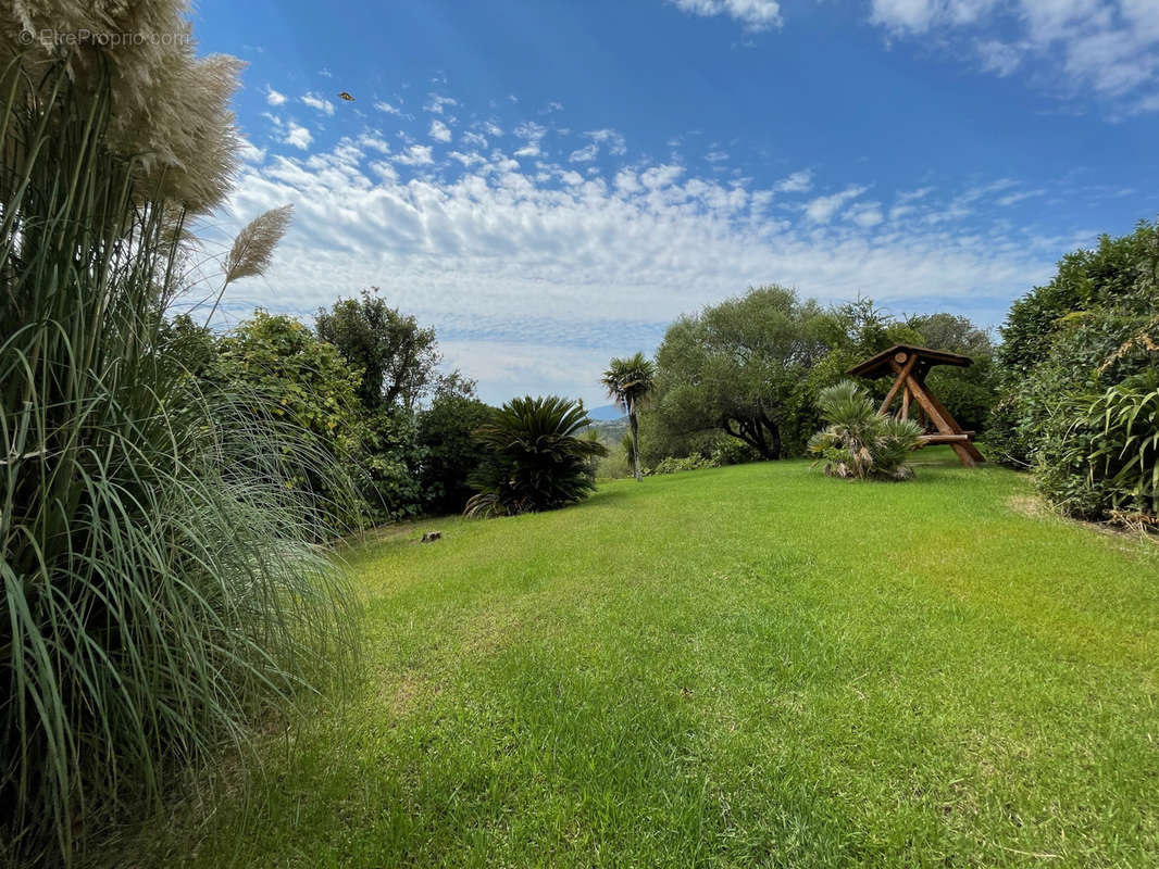 Maison à PORTO-VECCHIO