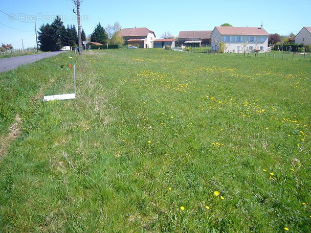 Terrain à SAINT-YRIEIX-LA-PERCHE