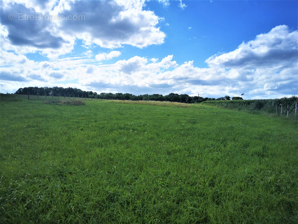 Terrain à CHATEAU-THIERRY