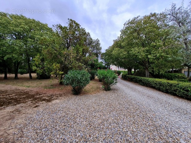 Maison à SAINT-COUAT-D&#039;AUDE