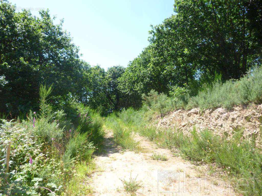 Terrain à GUINGAMP