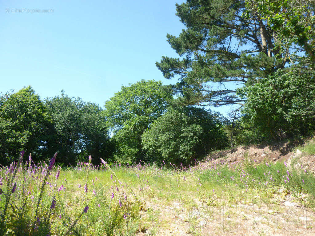 Terrain à GUINGAMP