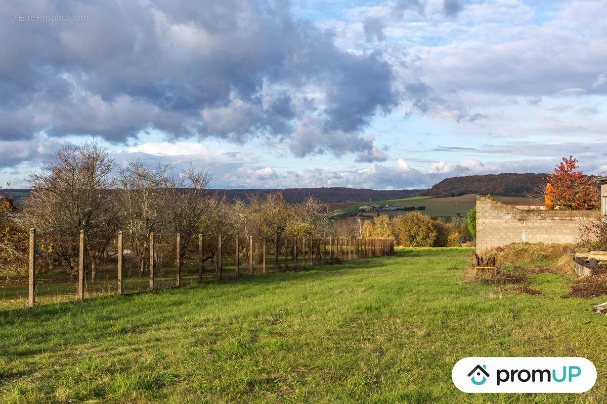 Terrain à VILLIERS-SUR-YONNE