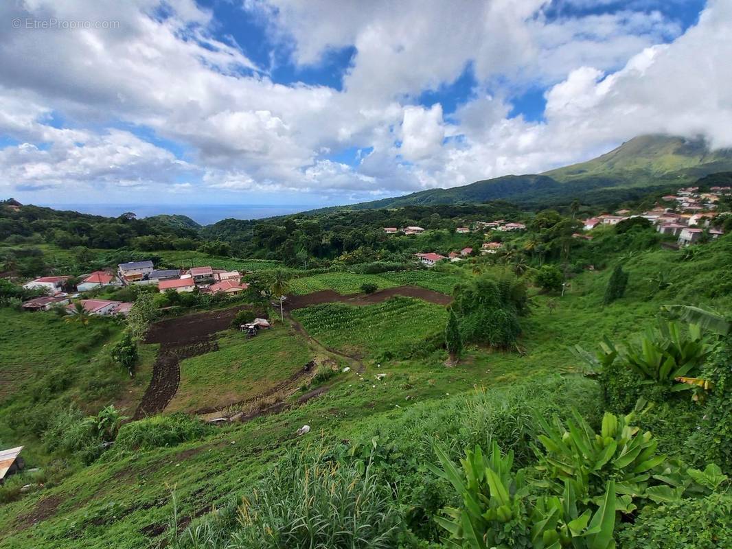 Terrain à LE MORNE-ROUGE