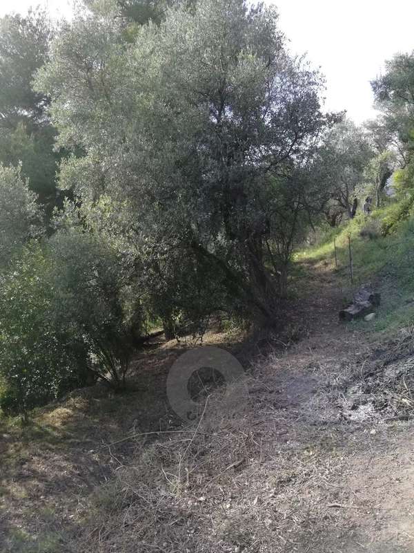 Terrain à CASTELLAR