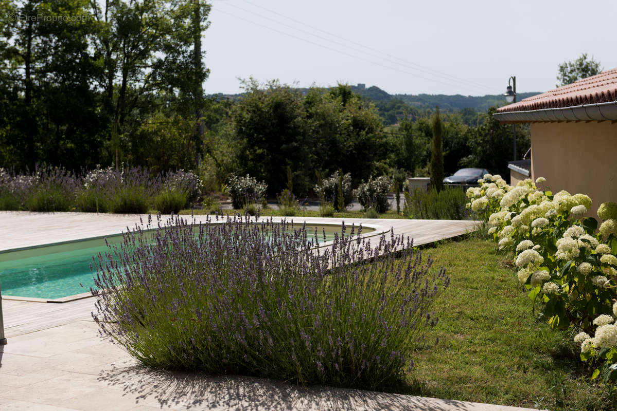 Autre à CASTELNAU-DE-MONTMIRAL