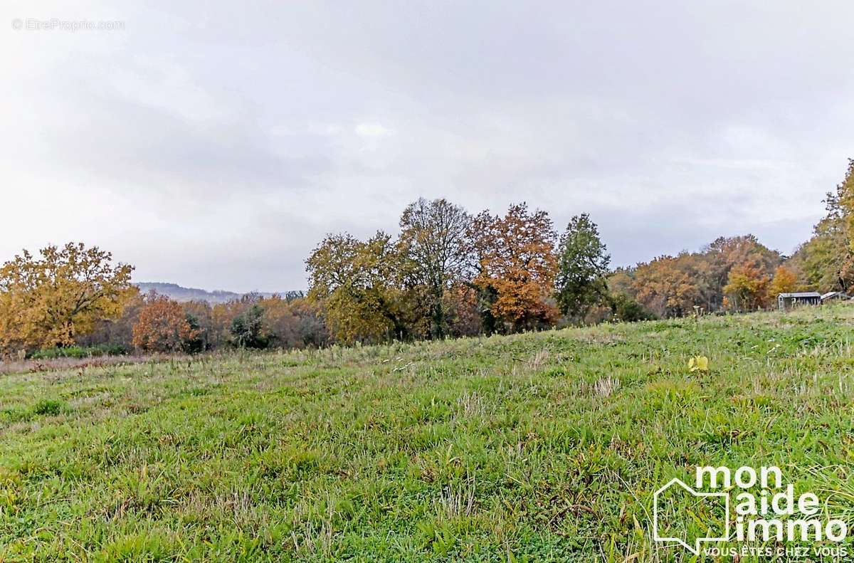 Terrain à LE BUISSON-DE-CADOUIN