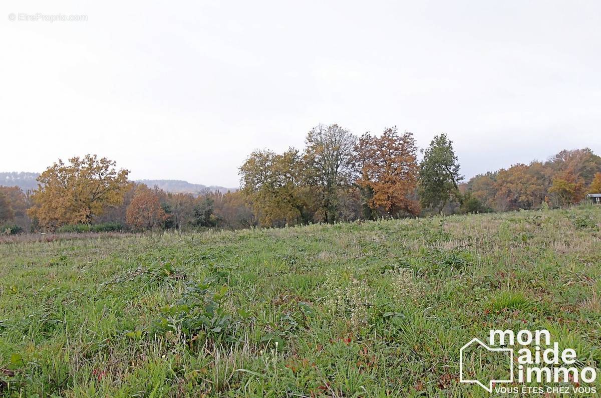 Terrain à LE BUISSON-DE-CADOUIN