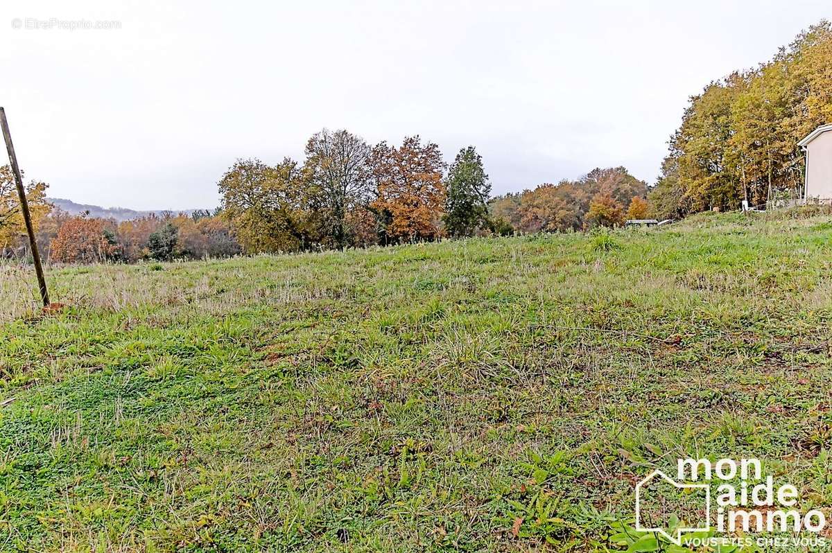 Terrain à LE BUISSON-DE-CADOUIN