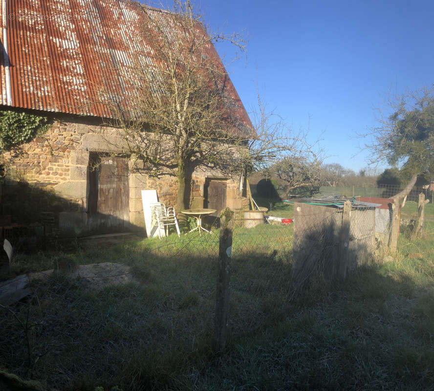 Terrain à MESNIL-CLINCHAMPS