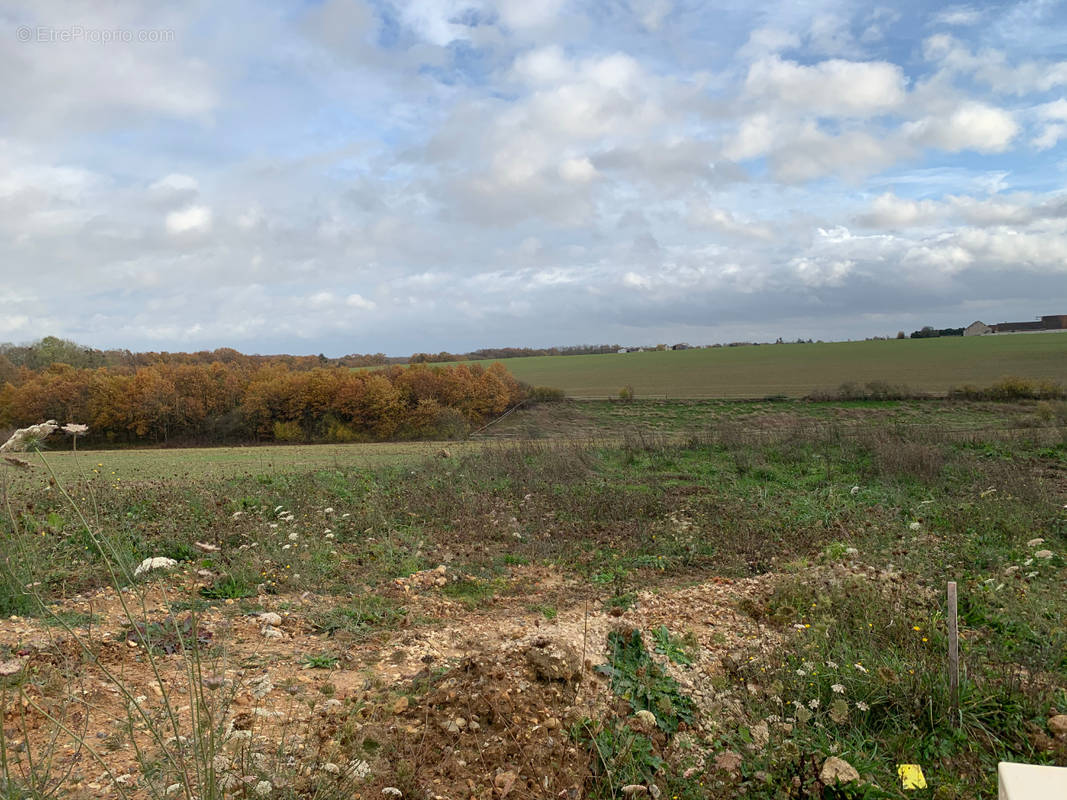 Terrain à CHEROY