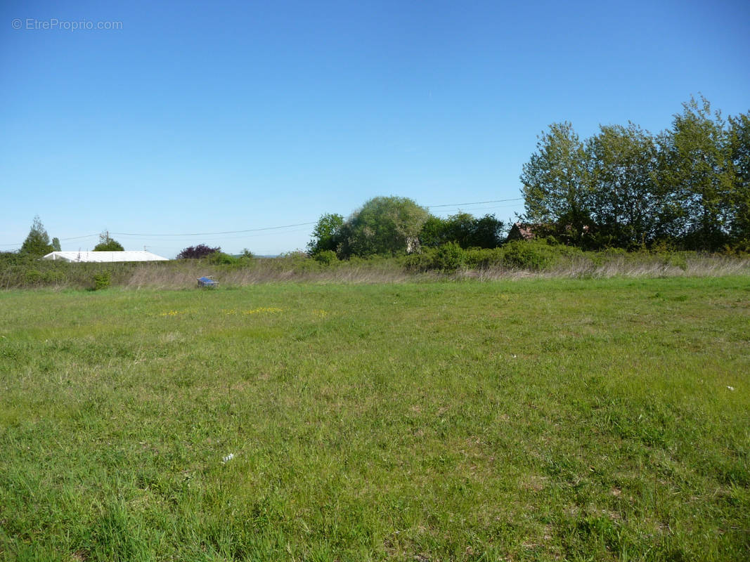 Terrain à LE THEIL