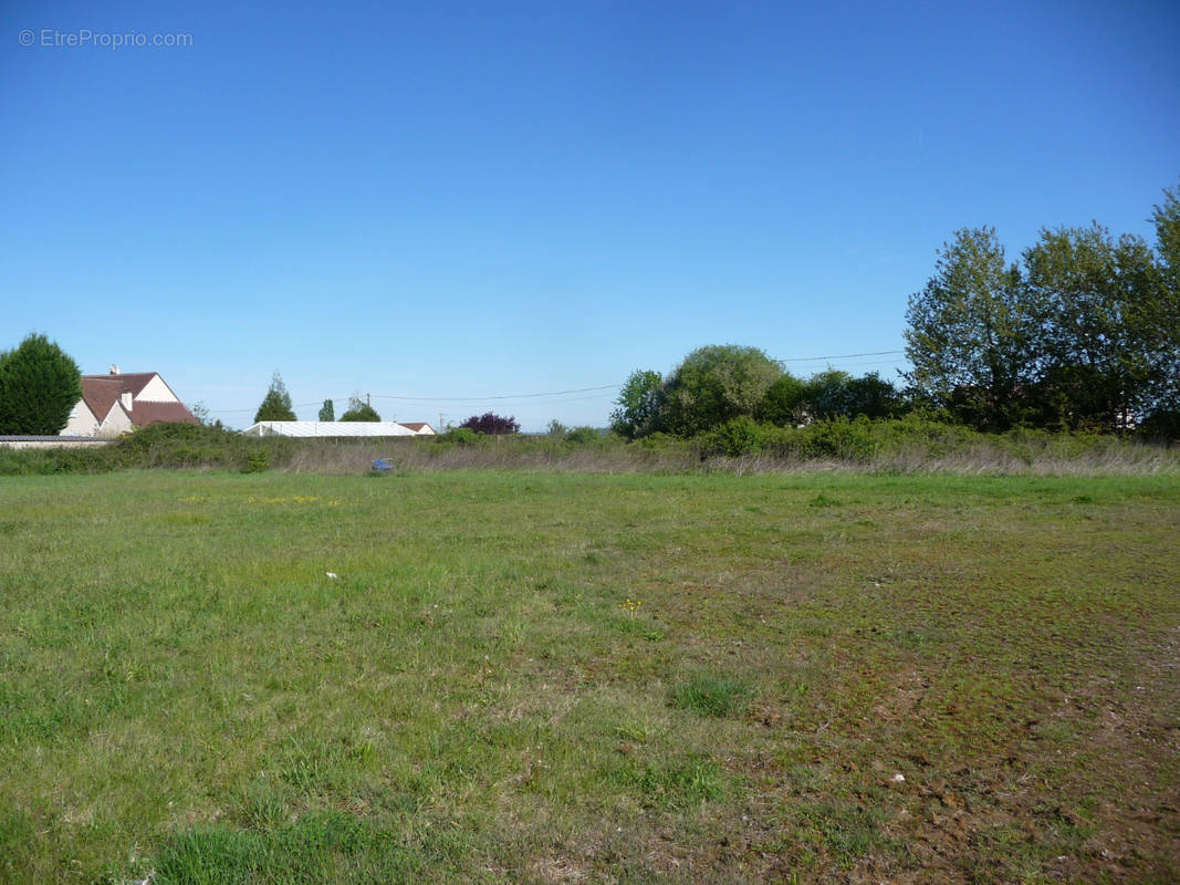 Terrain à LE THEIL