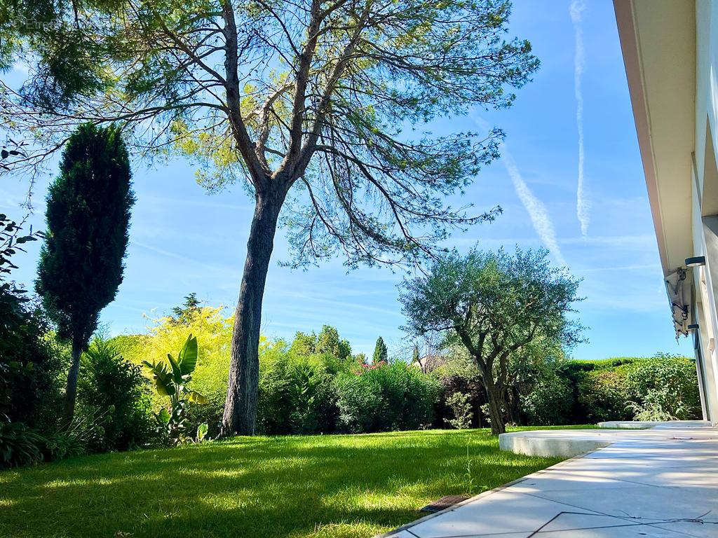 Maison à MOUGINS