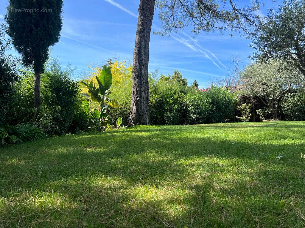 Maison à MOUGINS