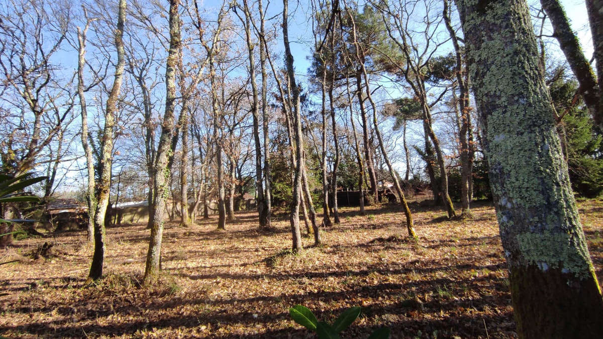 Terrain à MONTPON-MENESTEROL