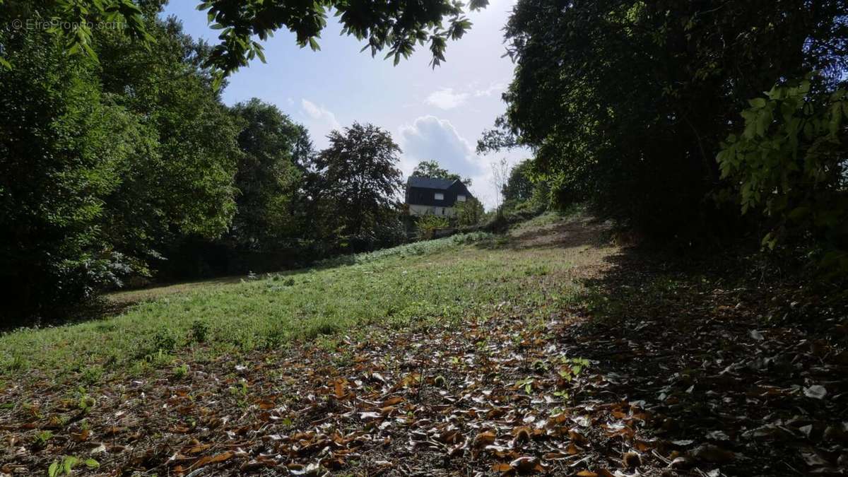 Terrain à BRIVE-LA-GAILLARDE