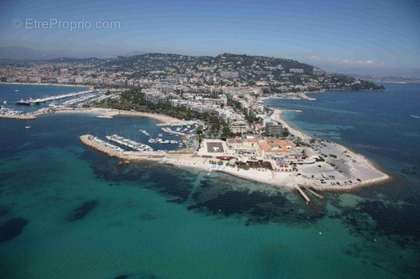 Commerce à CANNES