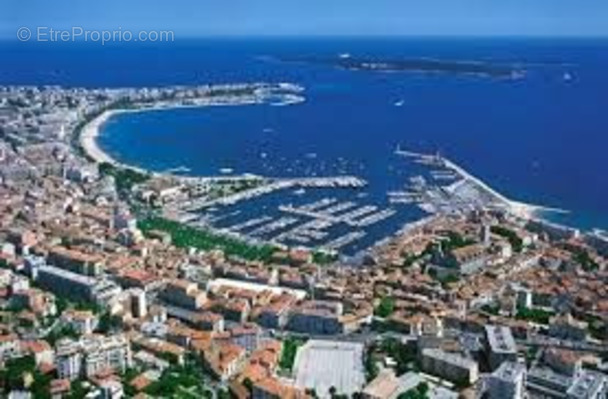 Commerce à CANNES