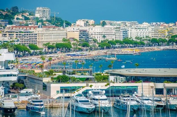 Commerce à CANNES