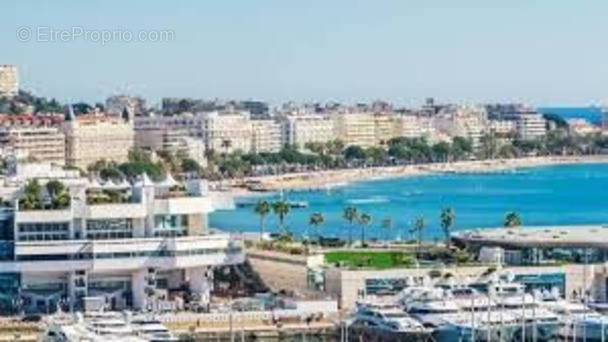 Commerce à CANNES