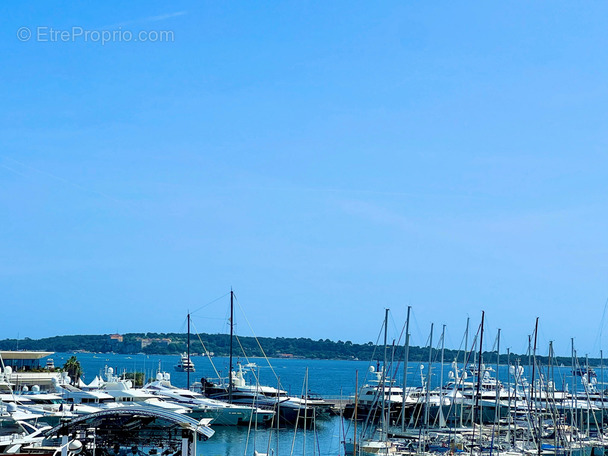 Commerce à CANNES