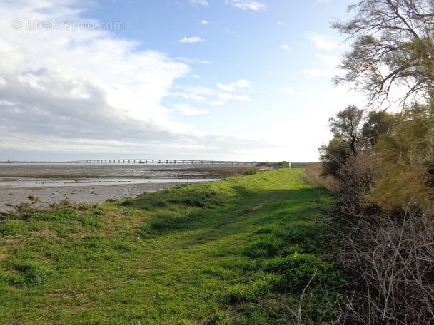 Autre à LE CHATEAU-D&#039;OLERON