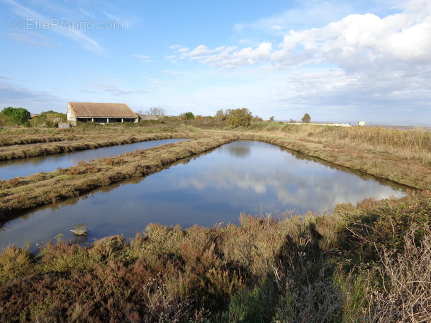 Autre à LE CHATEAU-D&#039;OLERON