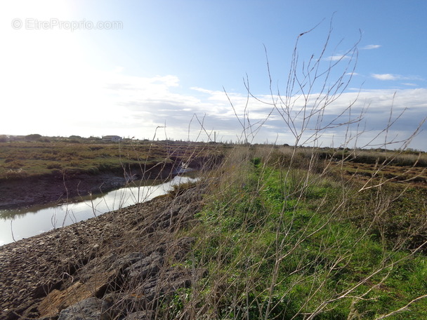 Autre à LE CHATEAU-D&#039;OLERON