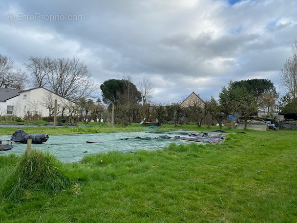 Terrain à GRANDCHAMPS-DES-FONTAINES