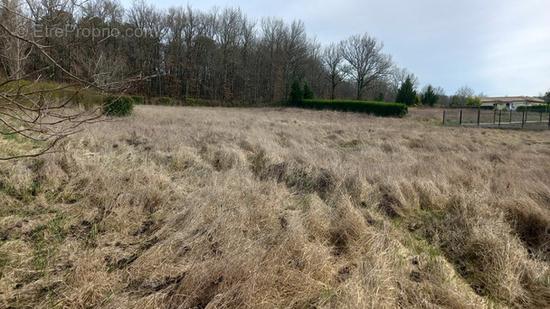 Terrain à MONTPEYROUX