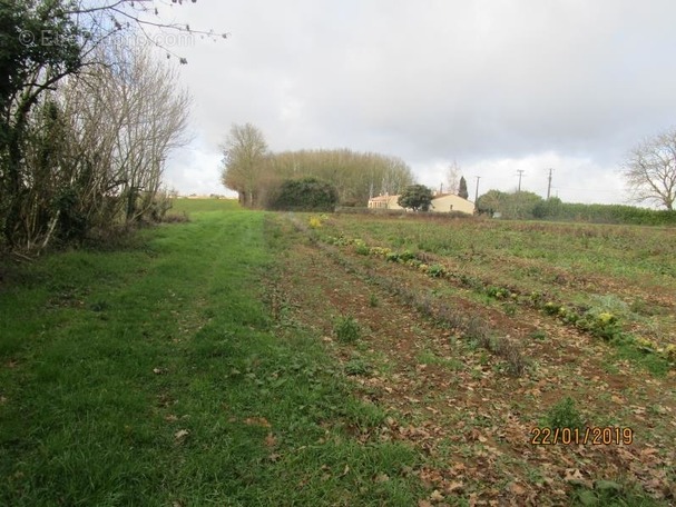 Terrain à AZAY-LE-BRULE