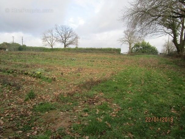 Terrain à AZAY-LE-BRULE