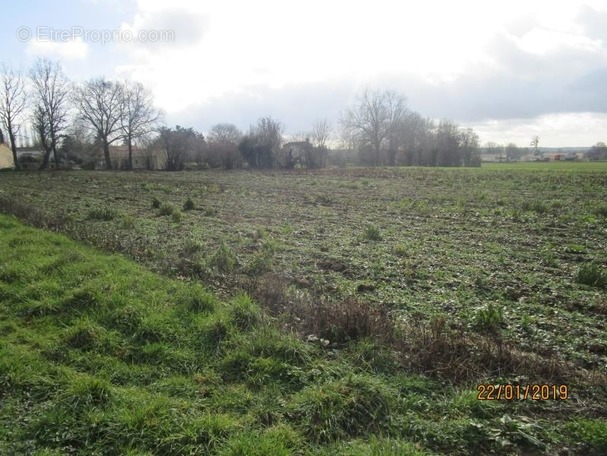 Terrain à AZAY-LE-BRULE