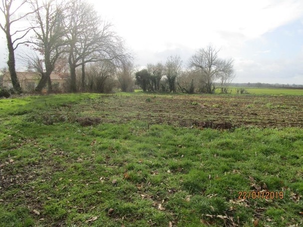 Terrain à AZAY-LE-BRULE