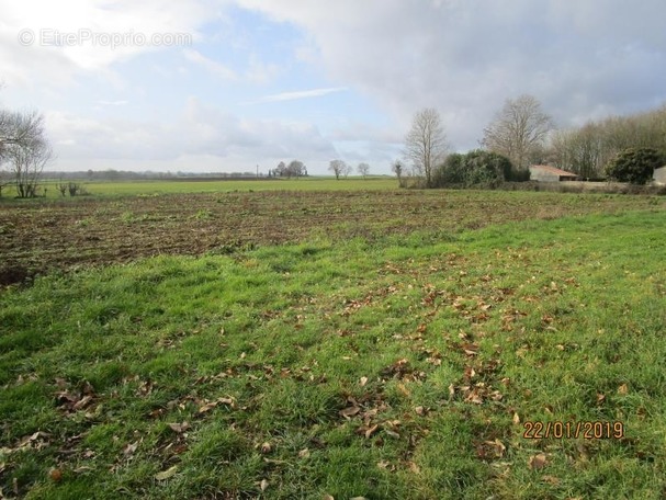 Terrain à AZAY-LE-BRULE