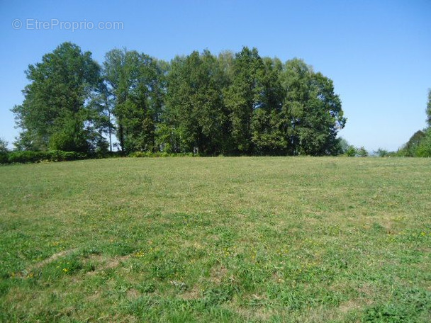 Terrain à ARNAC-POMPADOUR