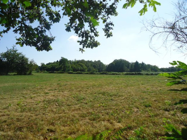 Terrain à ARNAC-POMPADOUR