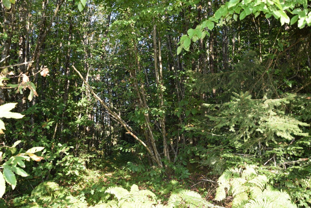 Terrain à SAINT-SORNIN-LAVOLPS