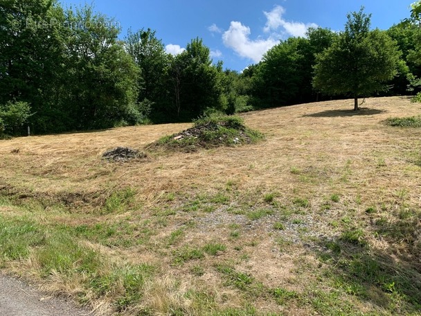 Terrain à CREUZIER-LE-VIEUX