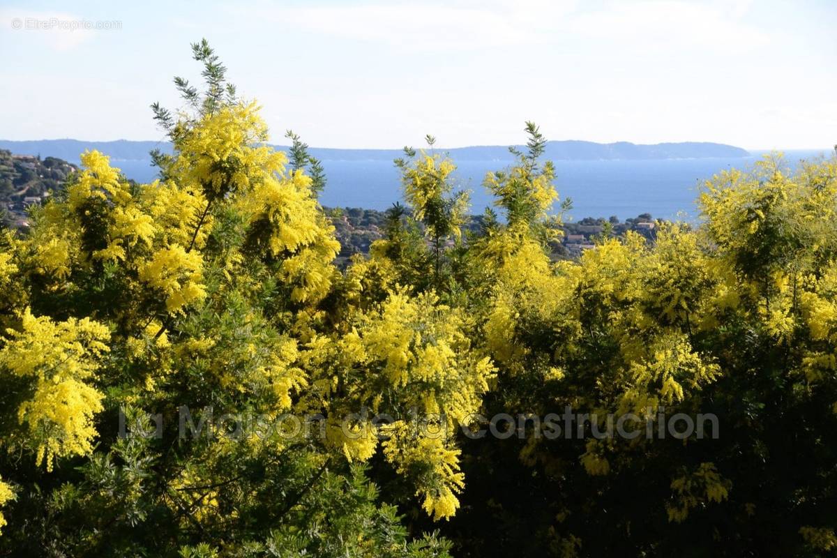 Terrain à BORMES-LES-MIMOSAS