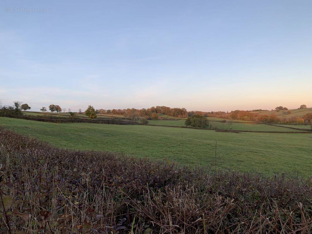 Terrain à CORBIGNY