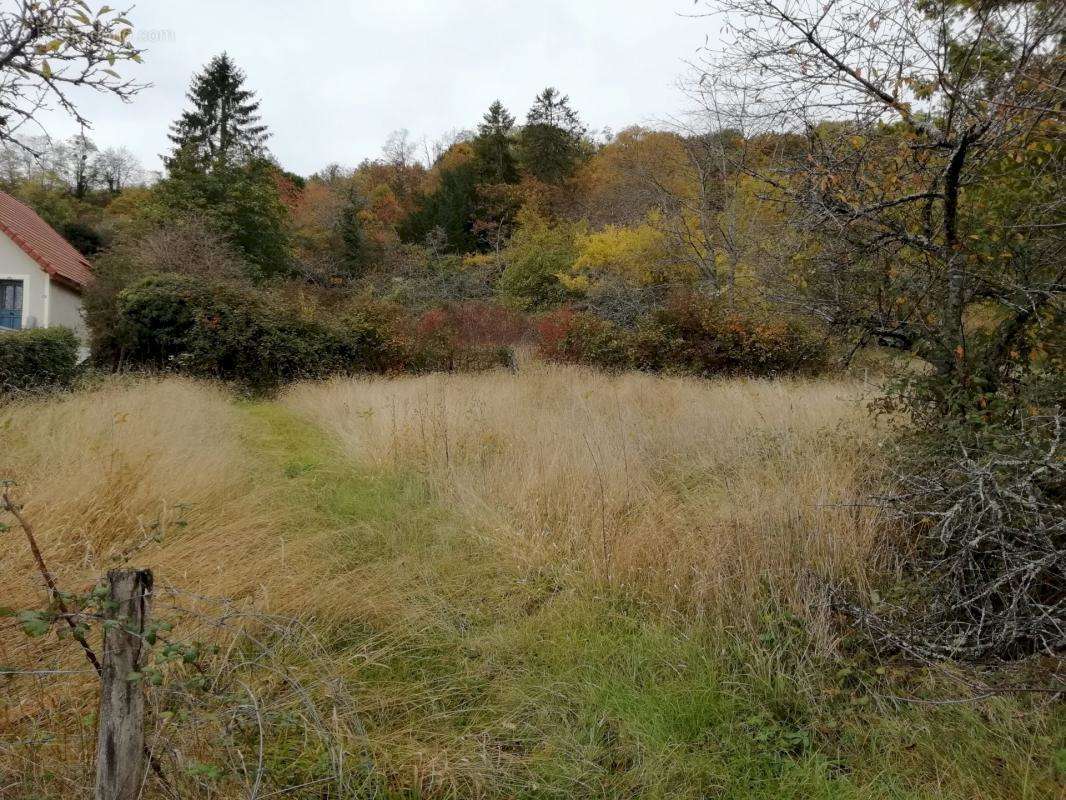 Terrain à PREMERY