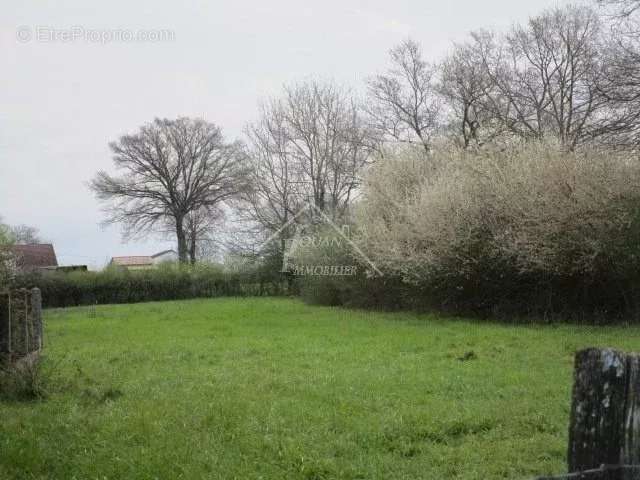 Terrain à MONTOLDRE