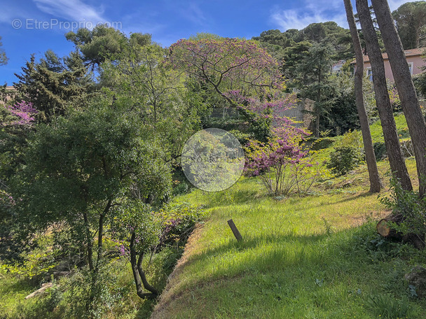 Terrain à SETE