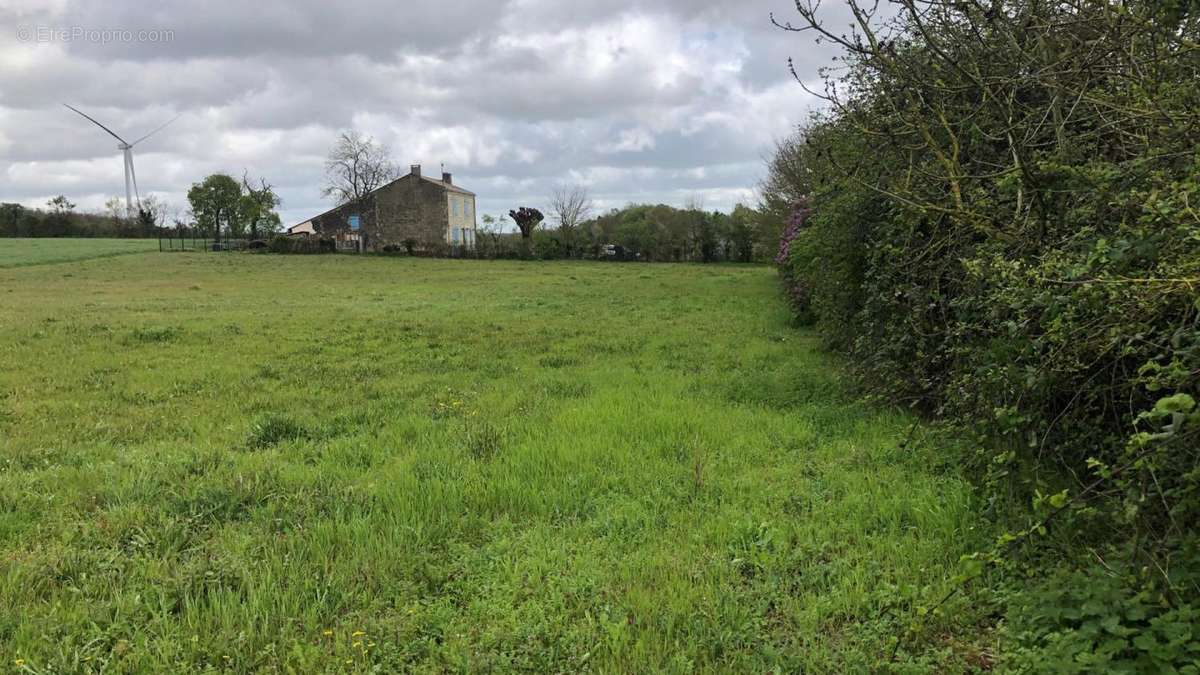 Terrain - Terrain à SAINT-JEAN-D&#039;ANGELY