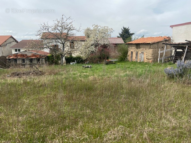 Terrain à PUY-GUILLAUME