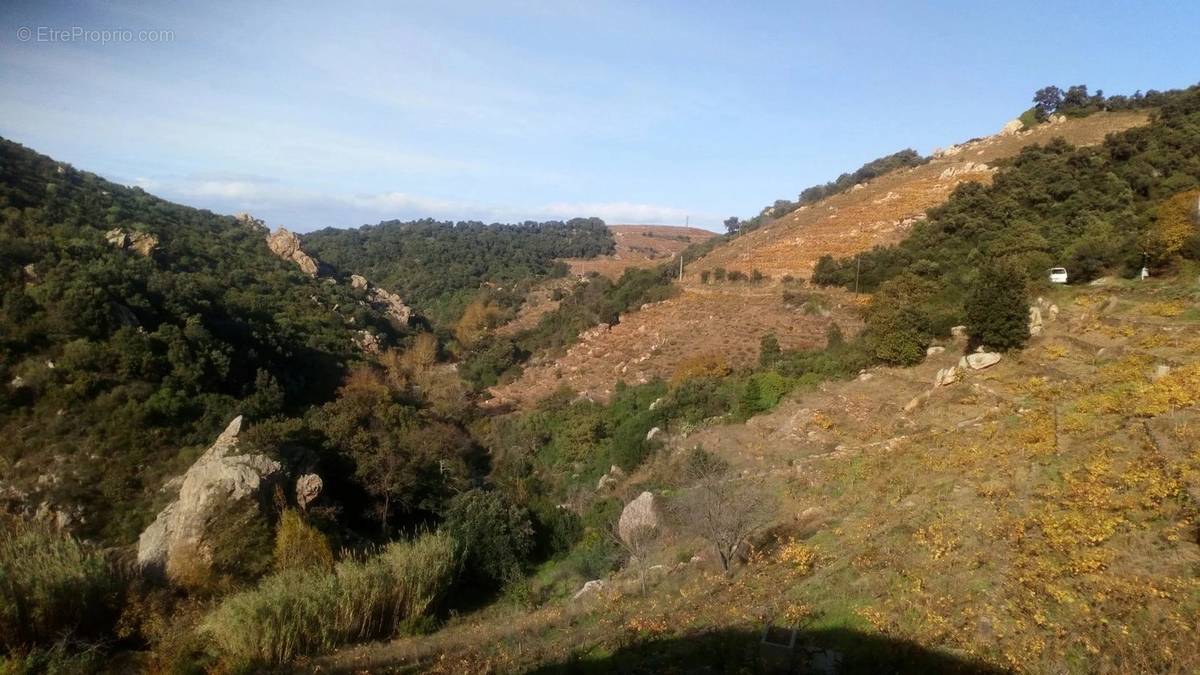 Terrain à COLLIOURE