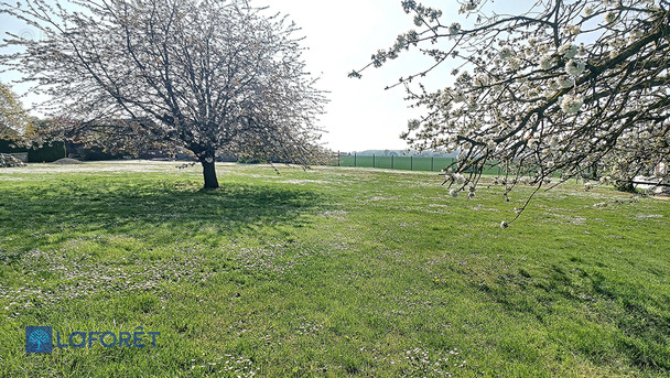 Terrain à OGNES